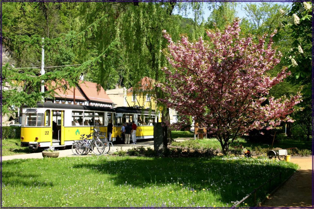 Appartement Elbufer 83 *