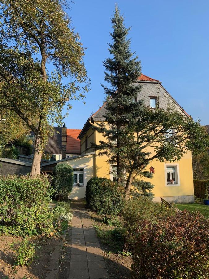Elbufer 83 * Bad Schandau